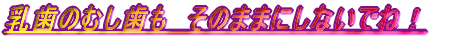 ̂ނ@̂܂܂ɂȂłˁI